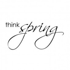 3586E Think Spring