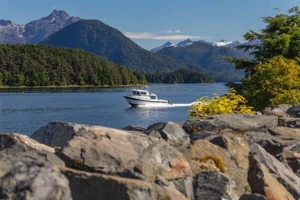 Products: Milford Sound Day Trip: Tour & Return Shuttle Service