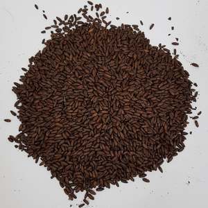 Beer Whole Malted Barley Unmilled: Gladfield Chocolate Rye Malt (Whole)