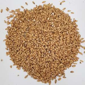 Beer Whole Malted Barley Unmilled: Gladfield Peat Smoked Malt (Whole)
