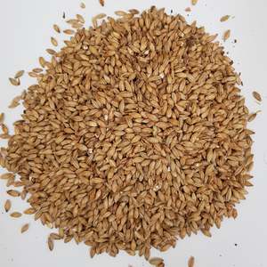 Gladfield Aurora Malt (Whole)