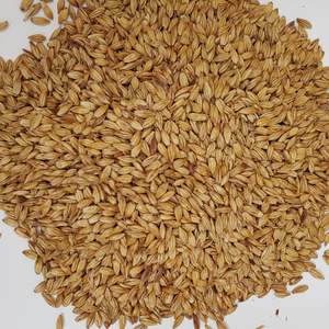 Beer Whole Malted Barley Unmilled: Gladfield Toffee Malt (Whole)