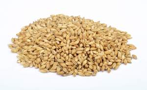Beer Crushed To Order Malted Barley Milled: Bestmalz Pilsener Malt (Milled)