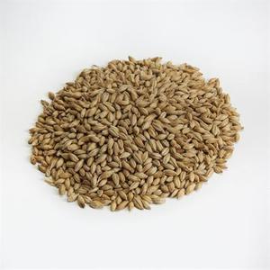 Beer Crushed To Order Malted Barley Milled: Maris Otter Pale Ale Malt (Milled)