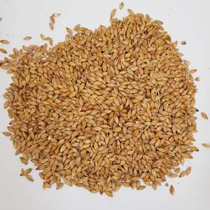 Beer Crushed To Order Malted Barley Milled: Gladfield Sour Grapes Malt (Milled)