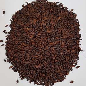 Beer Crushed To Order Malted Barley Milled: Gladfield Light Chocolate Malt (Milled)