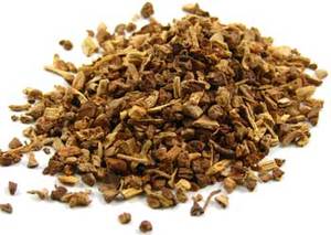 Sarsaparilla Root