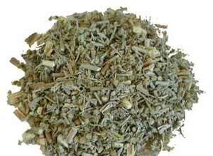 Wormwood (Organic)