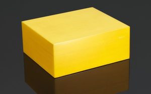 Products: Siglo 50 Stick Humidor Sunny Yellow