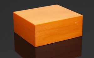 Products: Siglo 50-Stick Humidor Orange