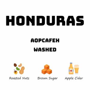Products: Honduras Aopcafeh - Washed - HAVE COFFEE 侑一家咖啡