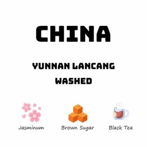 China Yunnan Lancang - Washed - HAVE COFFEE 侑一家咖啡