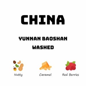 China Yunnan Baoshan - Washed - HAVE COFFEE 侑一家咖啡
