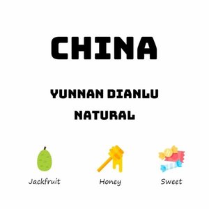 China Yunnan Dianlu - Natural - HAVE COFFEE 侑一家咖啡