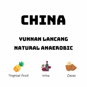 Products: China Yunnan Lancang - Natural Anaerobic - HAVE COFFEE 侑一家咖啡
