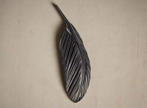 Tui wing feather 740mm - $790