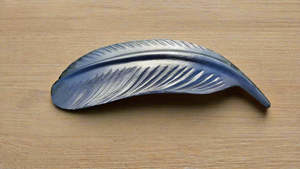 Tui breast feather 300mm - $220
