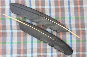 Tui Wing Feather 1,400mm - $2,200