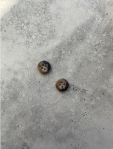 Components Haberdashery Buttons Zips: T2594 MOUSE