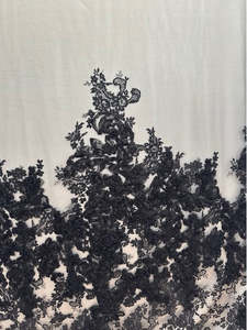 Fabric Cotton Linen Silk Wool: ULYSSES ASCENDING BORDERED ITALIAN LACE ON A NYLON TULLE (3.4m Length)