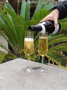 Products: Lot S10 – de la terre – 12 bottles of each of de la terre Methode wines