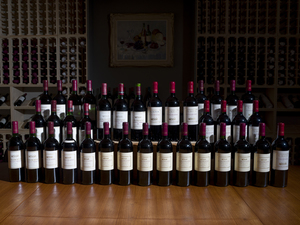 Products: Lot 23 – Four decades of Te Mata Estate Coleraine – 1982 – 2021