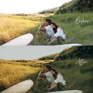 Products: Pure Gold AI Lightroom Preset Maria Wilkens Photography