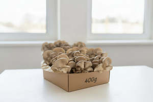 Baby Blue Oyster Mushroom 400g