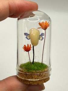 Featured 1: Mini Toothfae Dome - Preorder
