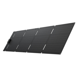 EcoFlow 60W Portable Solar Panel Type-C