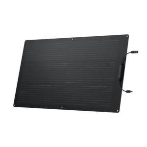 Solar: EcoFlow 100W Flexible Solar Panel