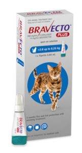 Bravecto PLUS for Cats Medium