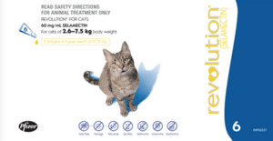Revolution Cat 6-pack