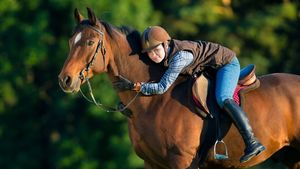 Products: ALL ROUNDER - Horse Supplements Healthy Horses Inside Out