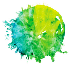 Home Cococoast - Australia