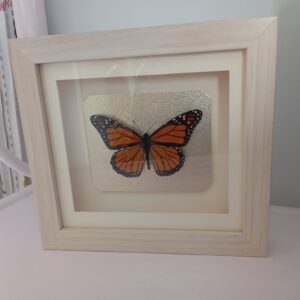 Products: Mother of Pearl Butterfly- Heart Healing Butterflies & Gifts