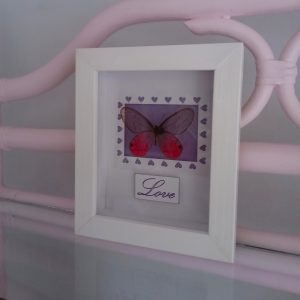 Products: Orange DB Butterfly- Heart Healing Butterflies & Gifts