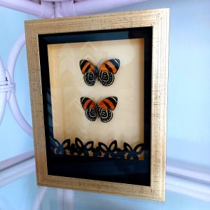 Products: Purple Mountain Butterfly- Heart Healing Butterflies & Gifts