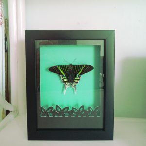 Products: Red Heart Butterfly- Heart Healing Butterflies & Gifts