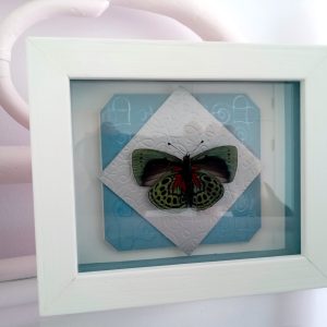 Products: 20 Mins Aromatherpy/Healing Session-Heart Healing Butterflies & Gifts