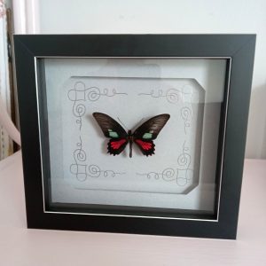 Products: DIY Frames - Heart Healing Butterflies & Gifts