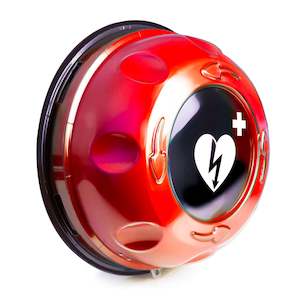 Aed Storage: Rotaid Outdoor AED Cabinet Lockable - Alarmed