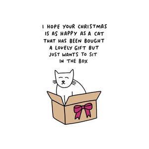 Cat in a Box - Christmas Card