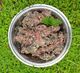Green Tripe Rolls – Hyde's Pet Food