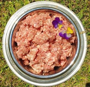Products: Chicken Mince – Hyde's Pet Food