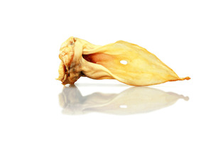 Venison Ears – Hyde's Pet Food
