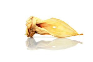 Products: Venison Ears – Hyde's Pet Food