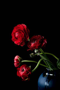 Art: Renaissance Series - Red Rouge Rood