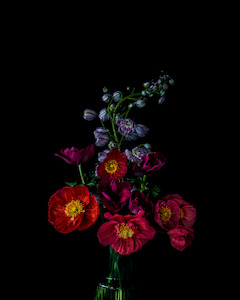 Gifts From 750 The Masters: The Masters - Golden Age