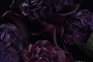 The Masters - Darkness Volume 1